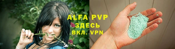 крисы Алзамай