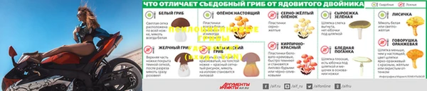 кокс Алексин
