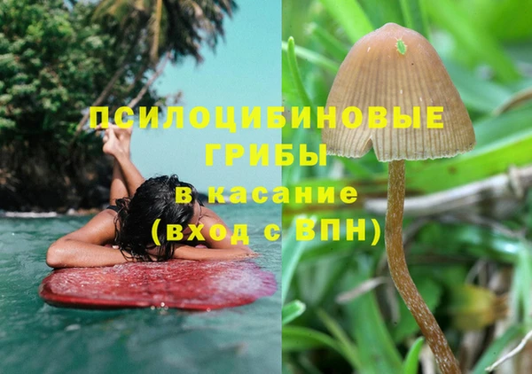 крисы Алзамай