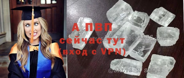кокс Алексин