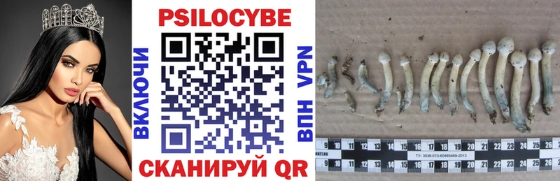 Галлюциногенные грибы Psilocybe  даркнет сайт  Череповец 